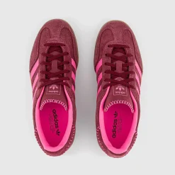 Gazelle Indoor Trainers