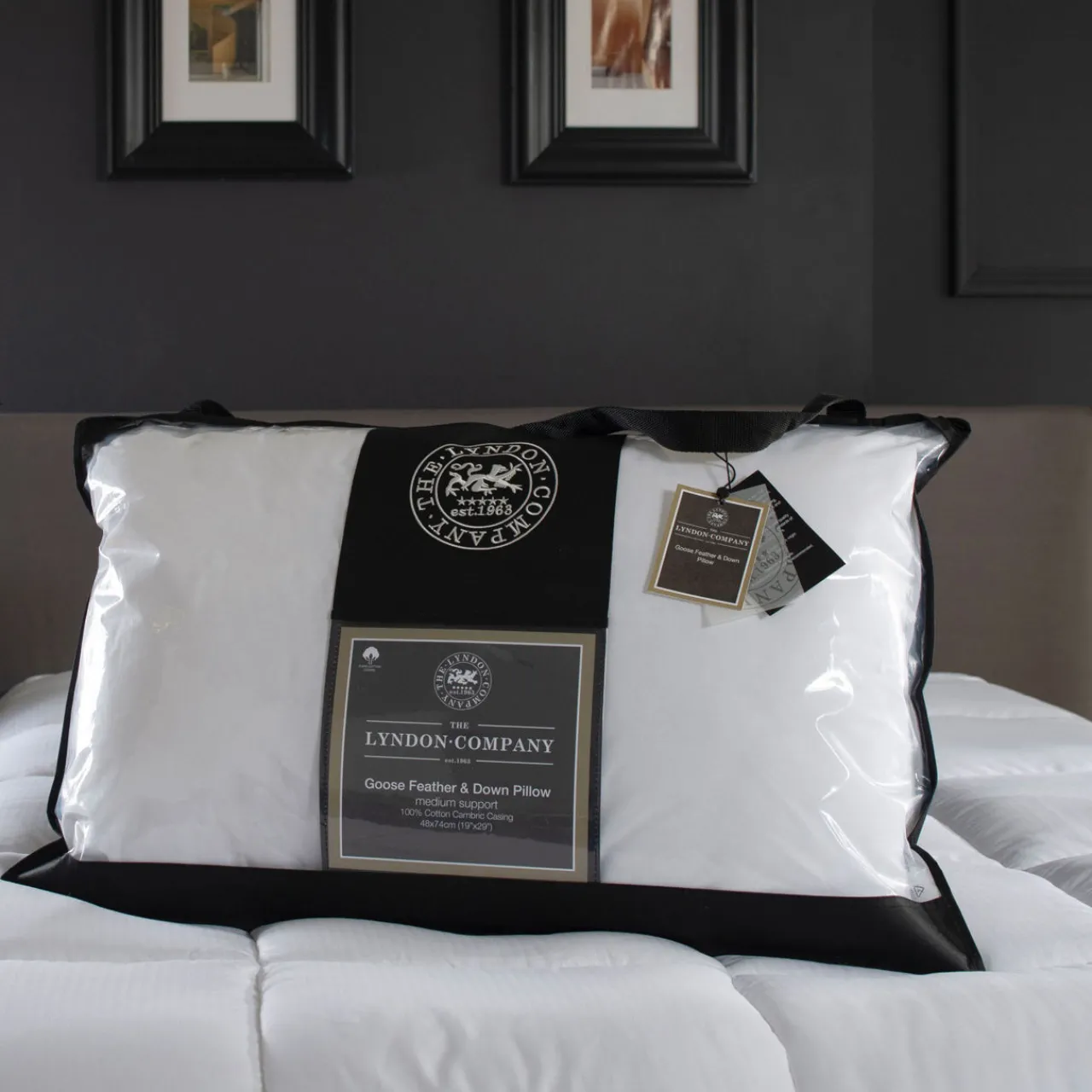 Clearance THE LYNDON COMPANY Goose Feather & Down Pillow