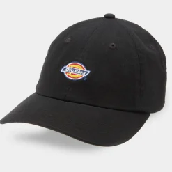 New DICKIES Hardwick Logo Cap