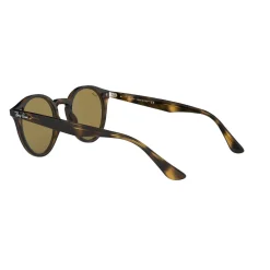 Havana Phantos Sunglasses  Brown