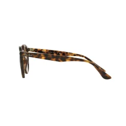 Havana Phantos Sunglasses  Brown