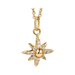 Clearance NEWBRIDGE SILVERWARE 14K Gold-Plated Embellished Star Pendant Necklace