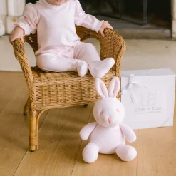 Karen Embroidered Floral Babygrow