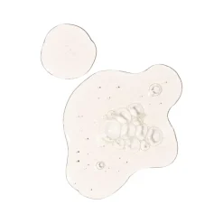 Discount THE ORDINARY Lactic Acid 10% + HA 2%