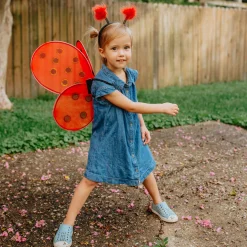Lady Bug Two-Piece Wings & Headband Set
