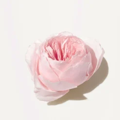 Online ORIGINS Light Rose™ Moisturising Hand Cream