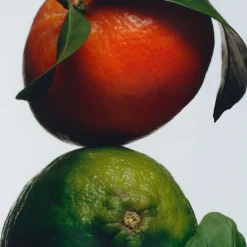 Lime Basil & Mandarin Room Spray