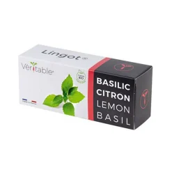 Lingot Lemon Basil Organic Seeds