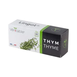 Lingot Thyme Organic Seeds