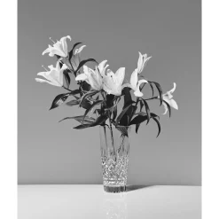 Discount WATERFORD Lismore Vase 35cm 14in