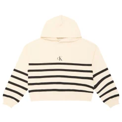 Logo Striped Hoodie