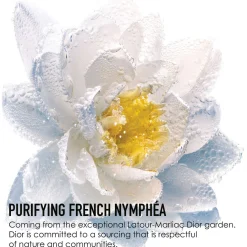 Best DIOR Micellar Water