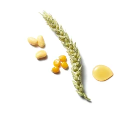 Online RITUALS Miracle Keratin Recovery Hair Mask