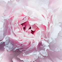 Outlet DIOR Miss Silky Body Mist 100ml