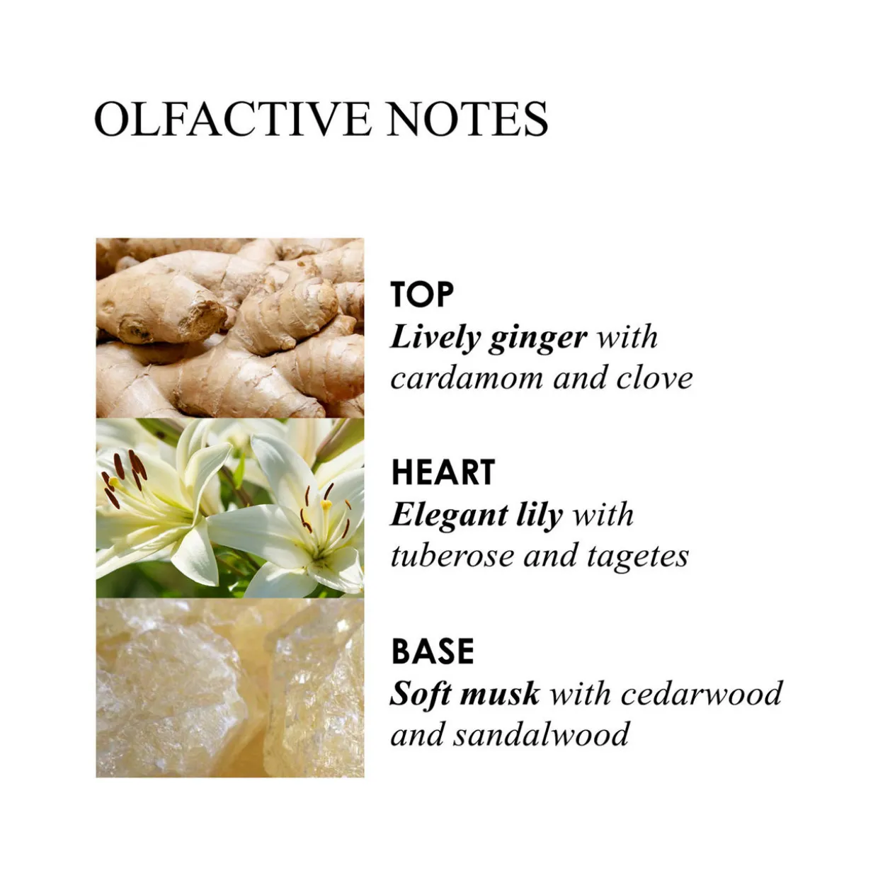 Molton Bath Oil HEAVENLY GINGER