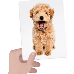 Montessori Tactile Flashcards