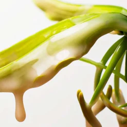 Nanoworks Gold Shampoo