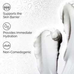 Natural Moisturising Factors + HA