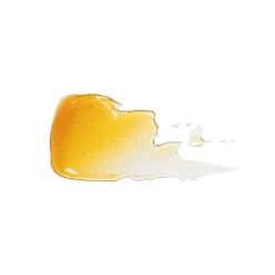 Neck Elasticity Catalyst