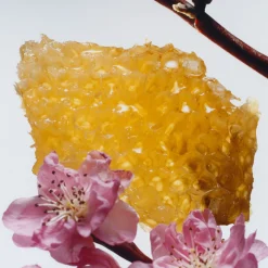 Clearance JO MALONE LONDON Nectarine Blossom & Honey Cologne