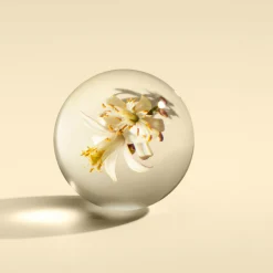 Orange and Bergamot Luxury Candle 600g