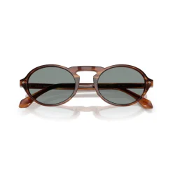 Discount GIORGIO ARMANI Oval Sunglasses AR8219U