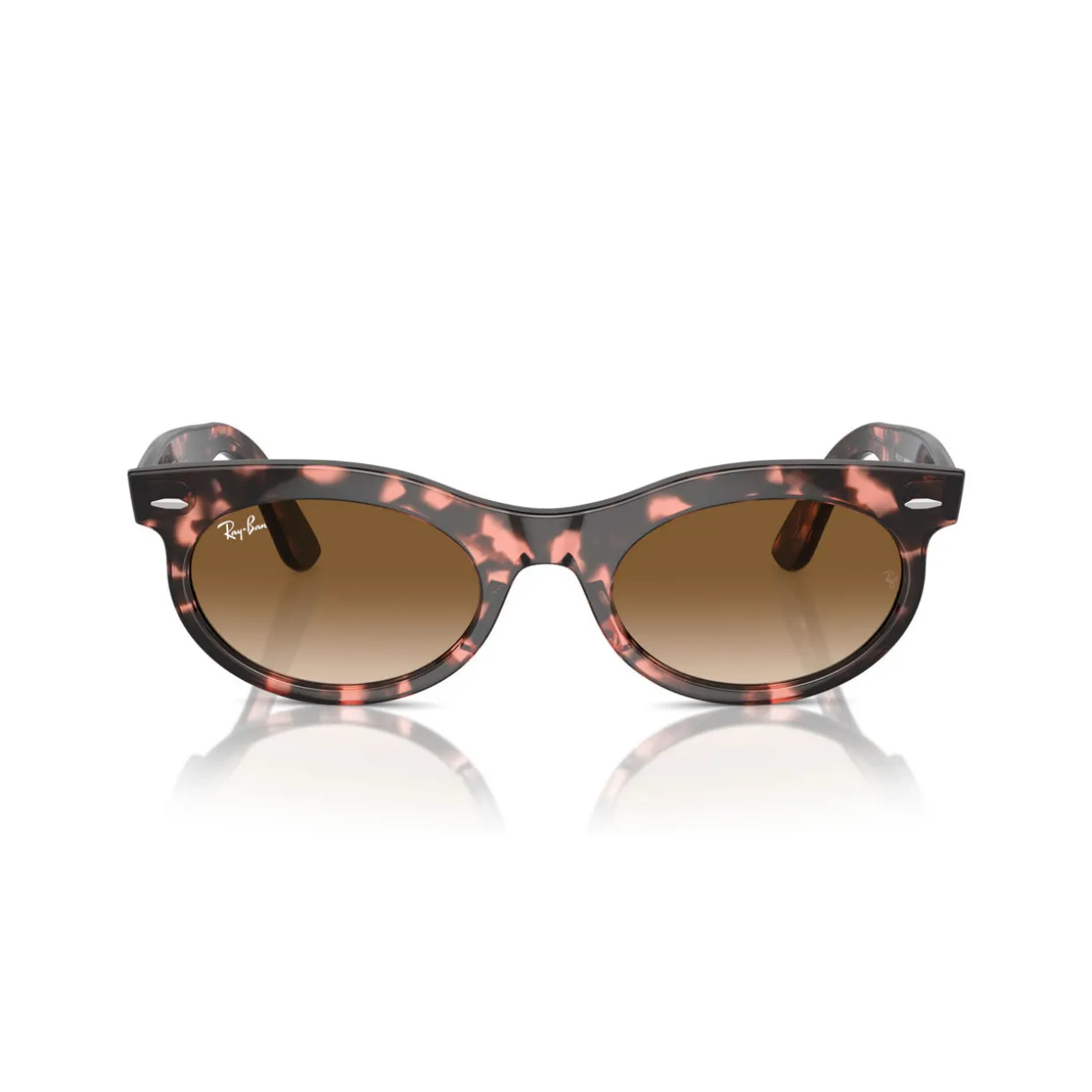 Oval Sunglasses RB2242 Wayfarer Oval