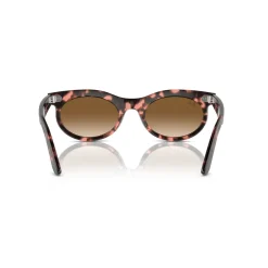 Oval Sunglasses RB2242 Wayfarer Oval