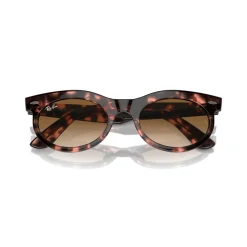 Oval Sunglasses RB2242 Wayfarer Oval