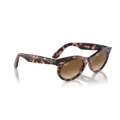 Oval Sunglasses RB2242 Wayfarer Oval