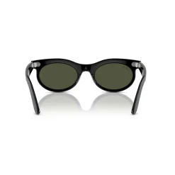 Oval Sunglasses RB2242 Wayfarer Oval