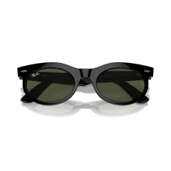 Oval Sunglasses RB2242 Wayfarer Oval