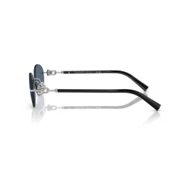 Oval Sunglasses TF3104D