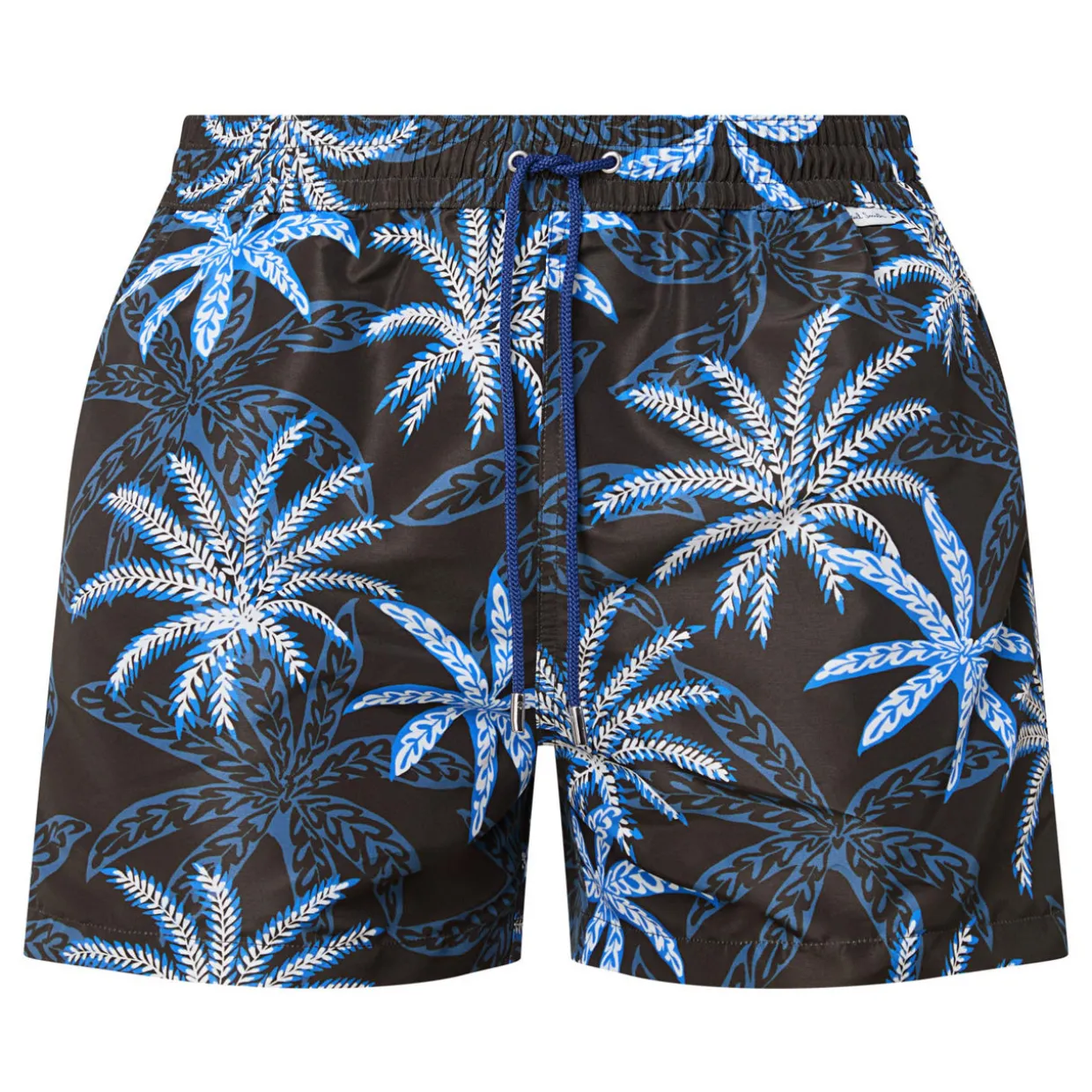 Palms Printed Swim Shorts