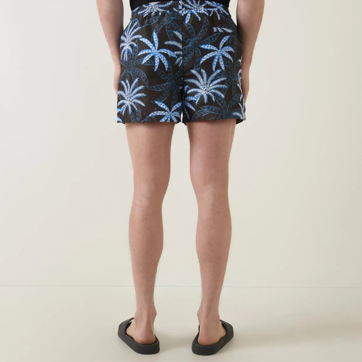 Palms Printed Swim Shorts