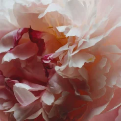 Peony & Blush Suede Classic Candle