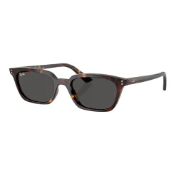Fashion RAY-BAN Pillow Sunglasses RB4456
