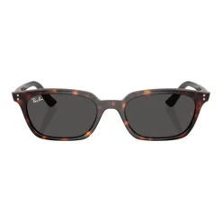 Fashion RAY-BAN Pillow Sunglasses RB4456