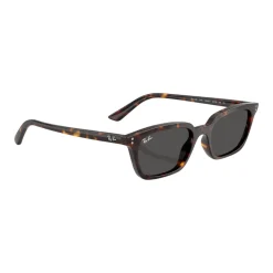 Fashion RAY-BAN Pillow Sunglasses RB4456