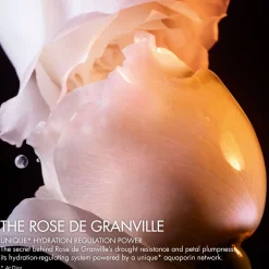 Prestige La Lotion Essence de Rose