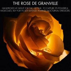 Online DIOR Prestige Le Baume de Minuit