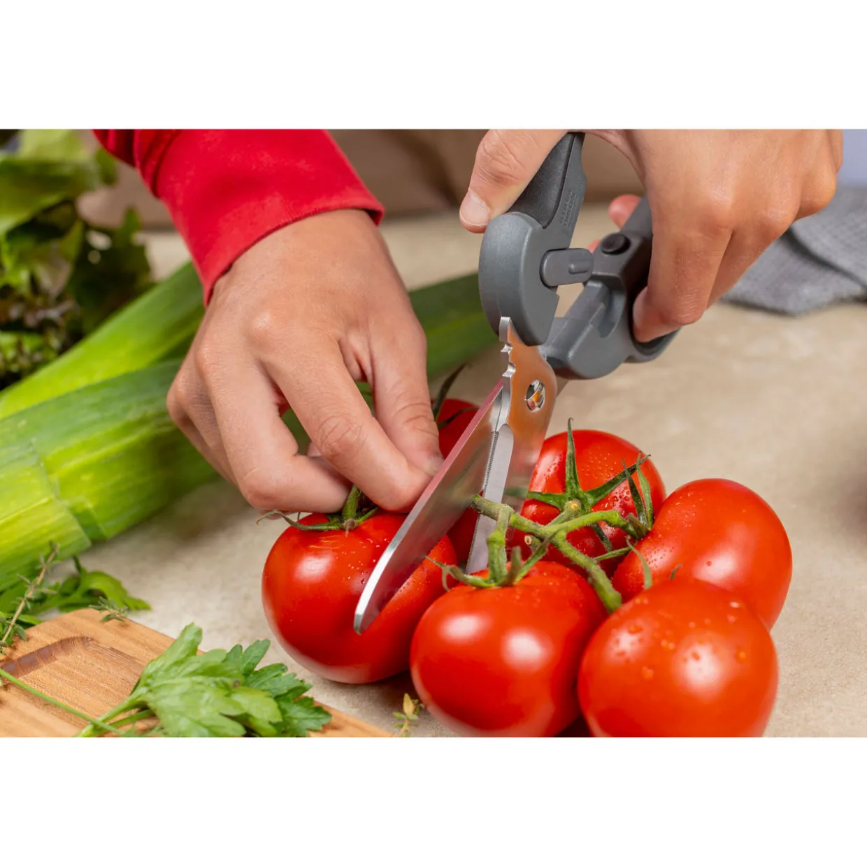 Pro Kitchen Shears Plus