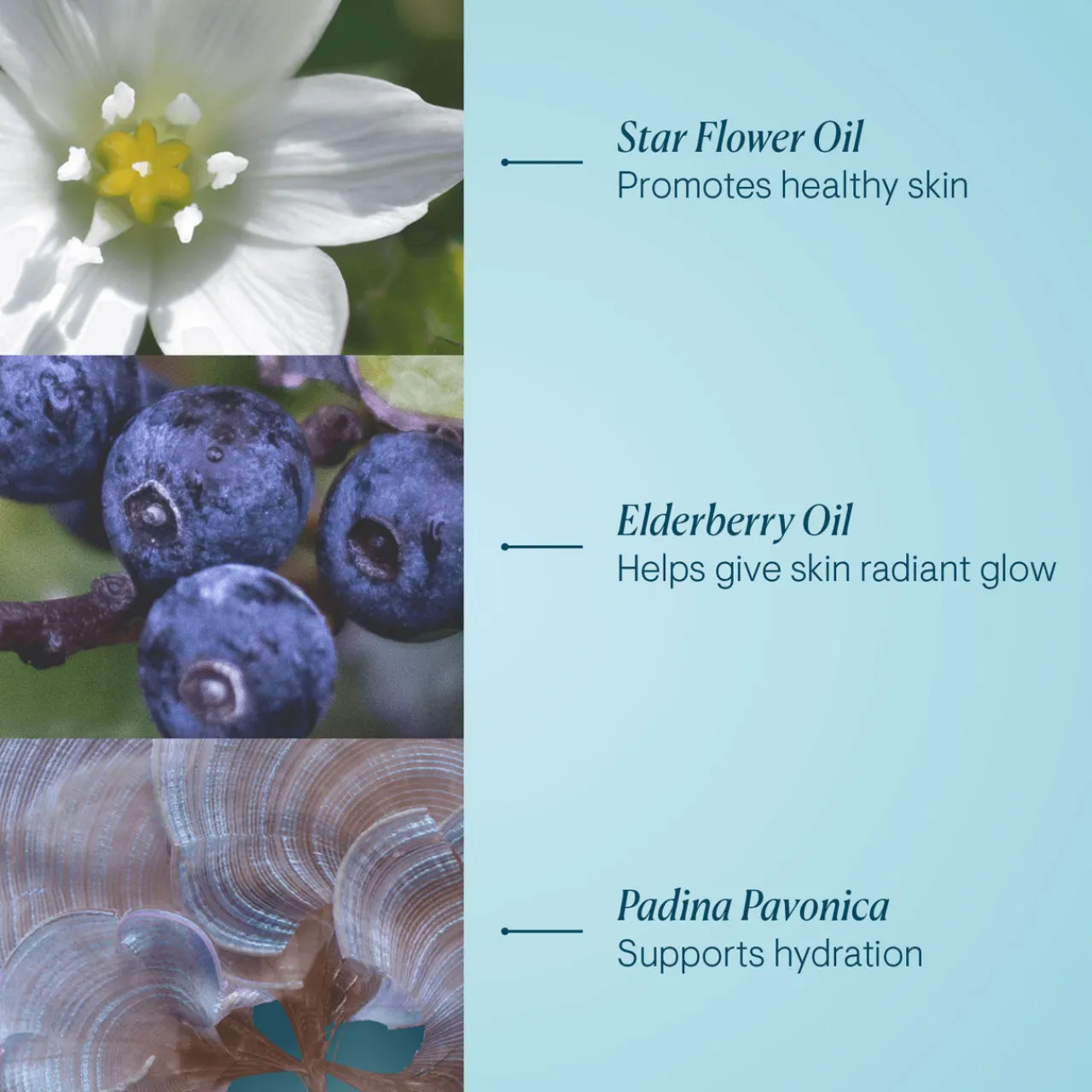 New ELEMIS Pro-Collagen Cleansing Balm - Mini