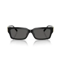 Clearance TIFFANY & CO. Rectangle Sunglasses TF4226U