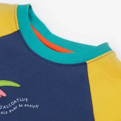 Renny Raglan Dinosaur T-Shirt