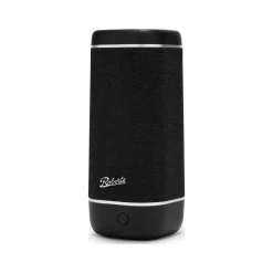 Fashion ROBERTS Reunion Bluetooth Speaker Black