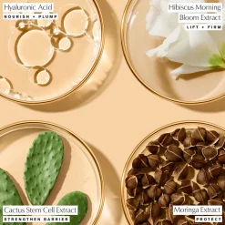 Revitalizing Supreme+ Youth Power Crème Refill