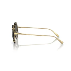 Round Sunglasses TF3091