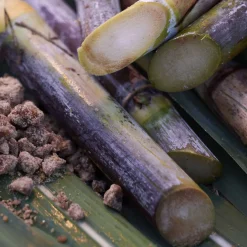 Satocane Pore Purifying Scrub Mask