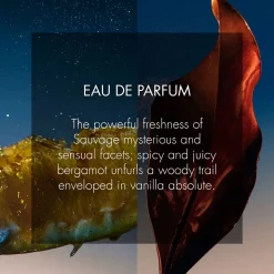 Best DIOR Sauvage Eau de Parfum